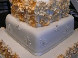 Wedding Cakes Gwynedd north wales P1070072