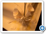 Wedding Cakes Gwynedd north wales, abersoch - CIMG2932