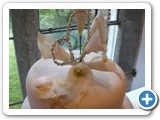 Wedding Cakes Gwynedd north wales, abersoch - CIMG3013
