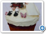 Wedding Cakes Gwynedd north wales, abersoch - P1070498