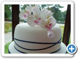 Wedding Cakes Gwynedd north wales, abersoch - P1080324