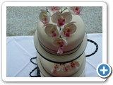 Wedding Cakes Gwynedd north wales, abersoch - P1080333