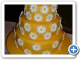 Wedding Cakes Gwynedd north wales, abersoch - P1080434