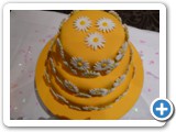 Wedding Cakes Gwynedd north wales, abersoch - P1080436